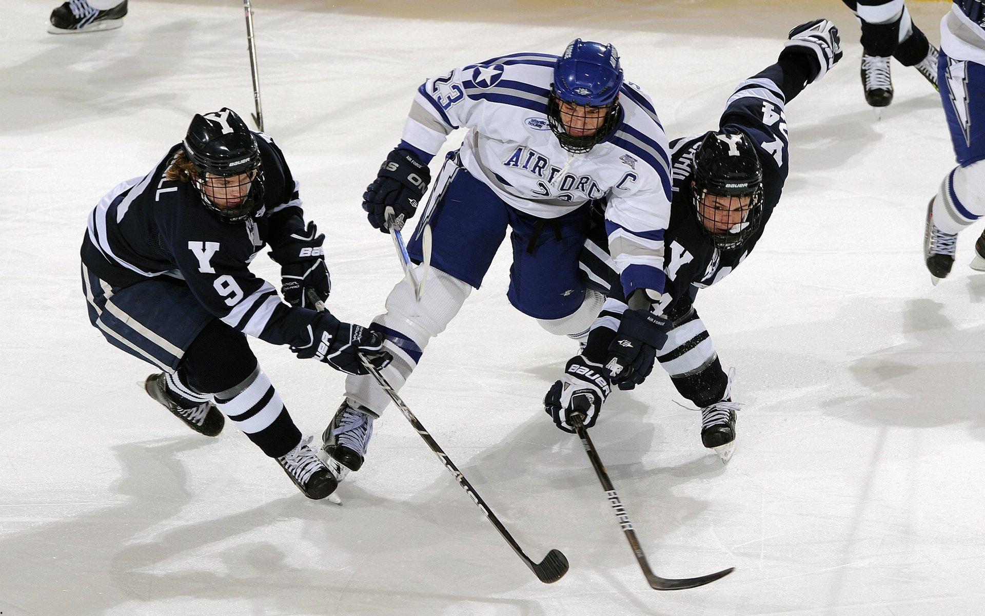 【半岛体育APP】体育产业迎来黄金发展期，政策红利与市场需求双轮驱动