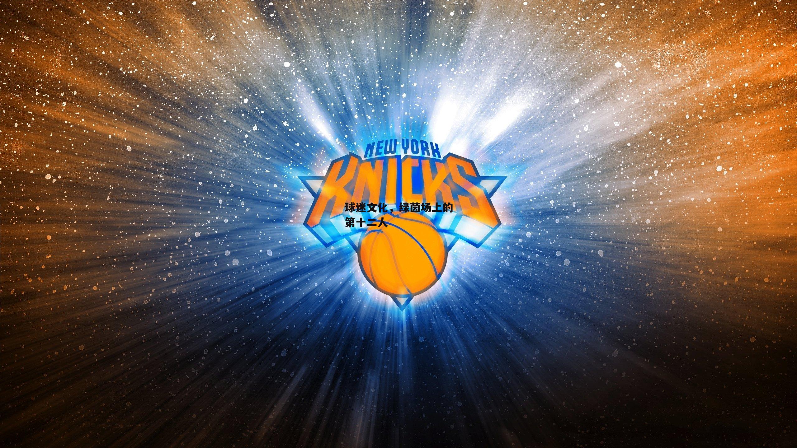 球迷文化，绿茵场上的第十二人