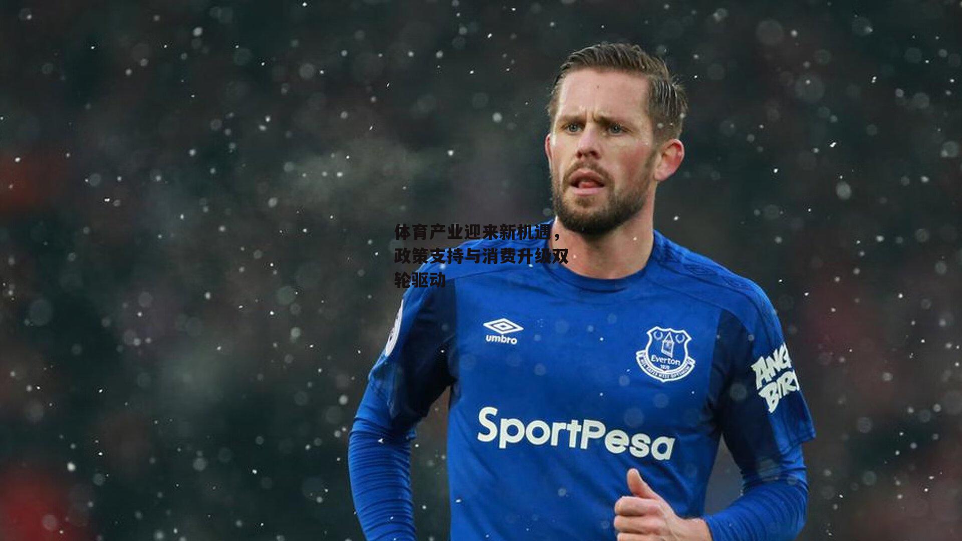 体育产业迎来新机遇，政策支持与消费升级双轮驱动-半岛体育官网